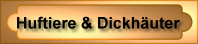zu den Huftieren & Dickh&auml;utern